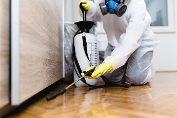 Best Exterminator Services  in Gretna, LA