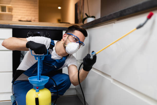 Best Insect Control  in Gretna, LA