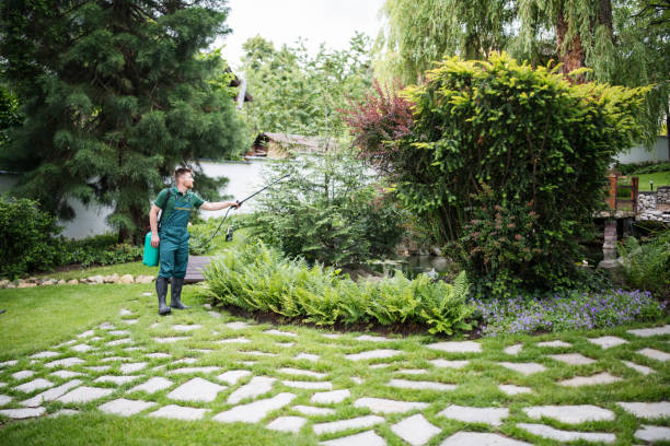 Best Ant Control Services  in Gretna, LA