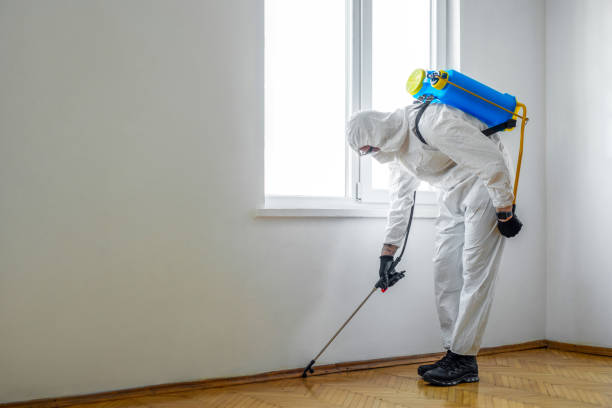 Best Pest Removal Services  in Gretna, LA