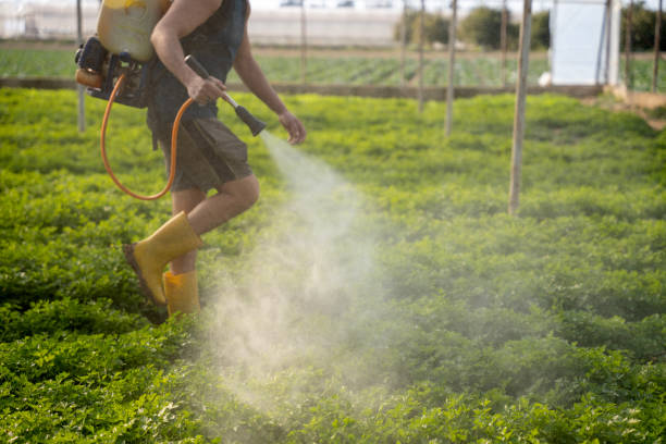 Best Residential Pest Control  in Gretna, LA