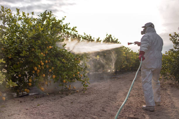 Best Pest Control for Businesses  in Gretna, LA