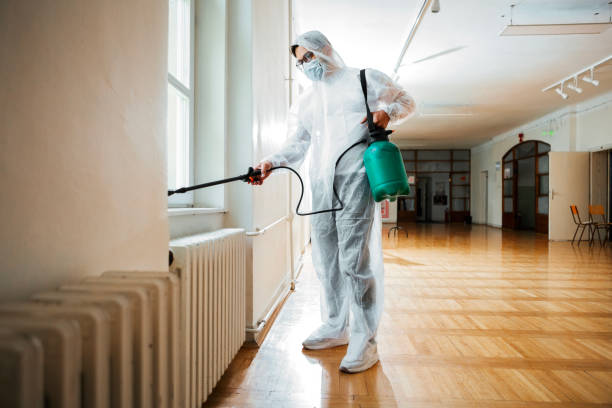 Best Affordable Pest Control Services  in Gretna, LA