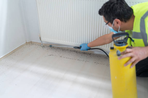 Best Pest Inspection Near Me  in Gretna, LA